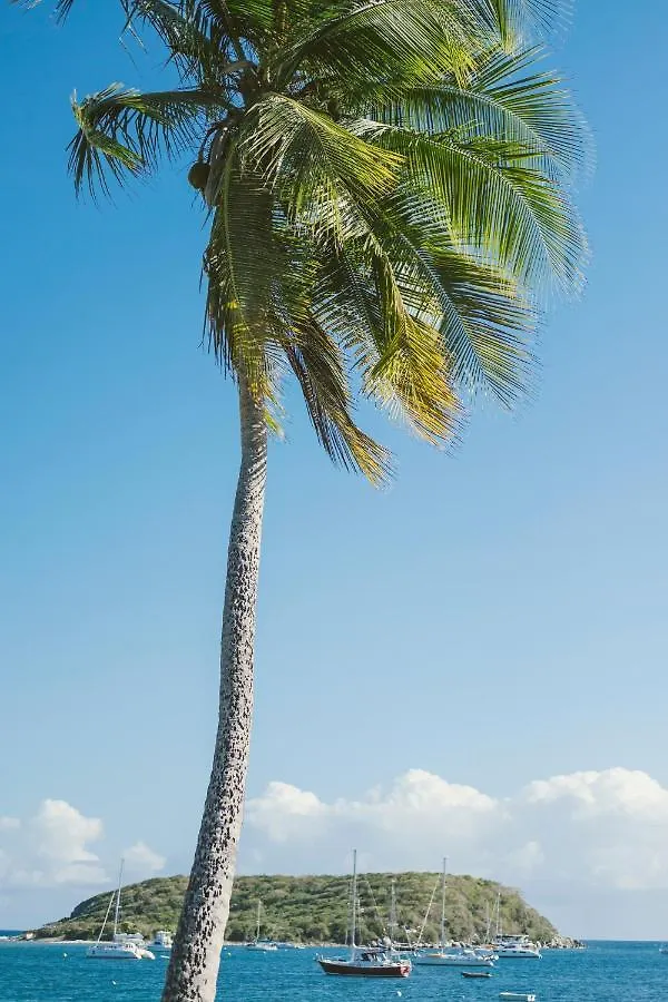 Bed and Breakfast Puertas Vieques 0*,